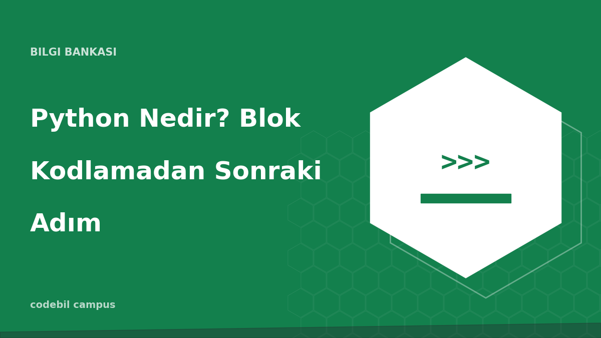Python Nedir? Blok Kodlamadan Sonraki Adım
