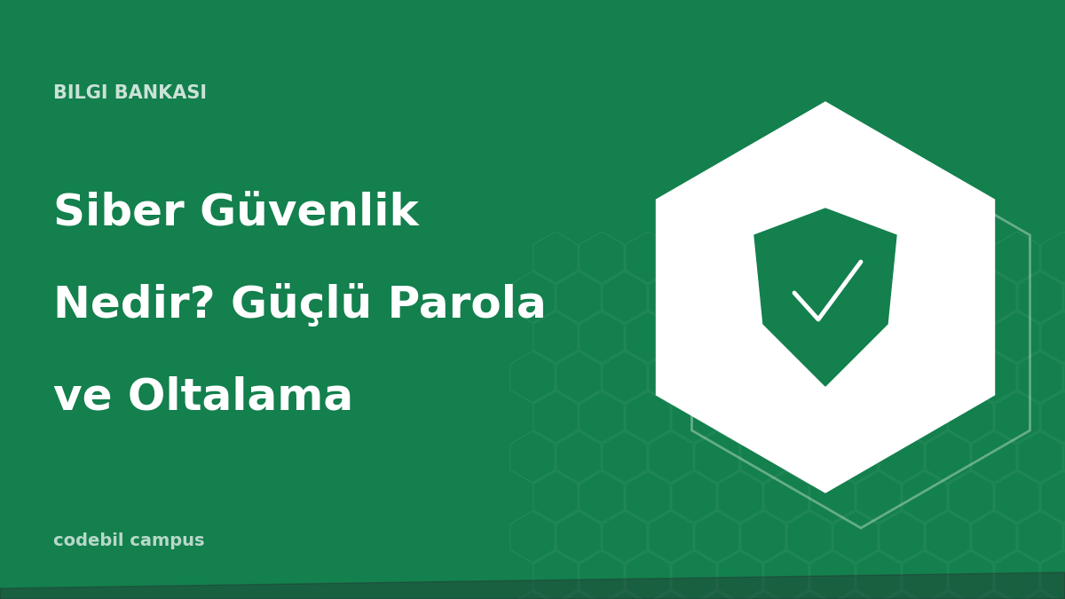 Siber Güvenlik Nedir? Güçlü Parola ve Oltalama