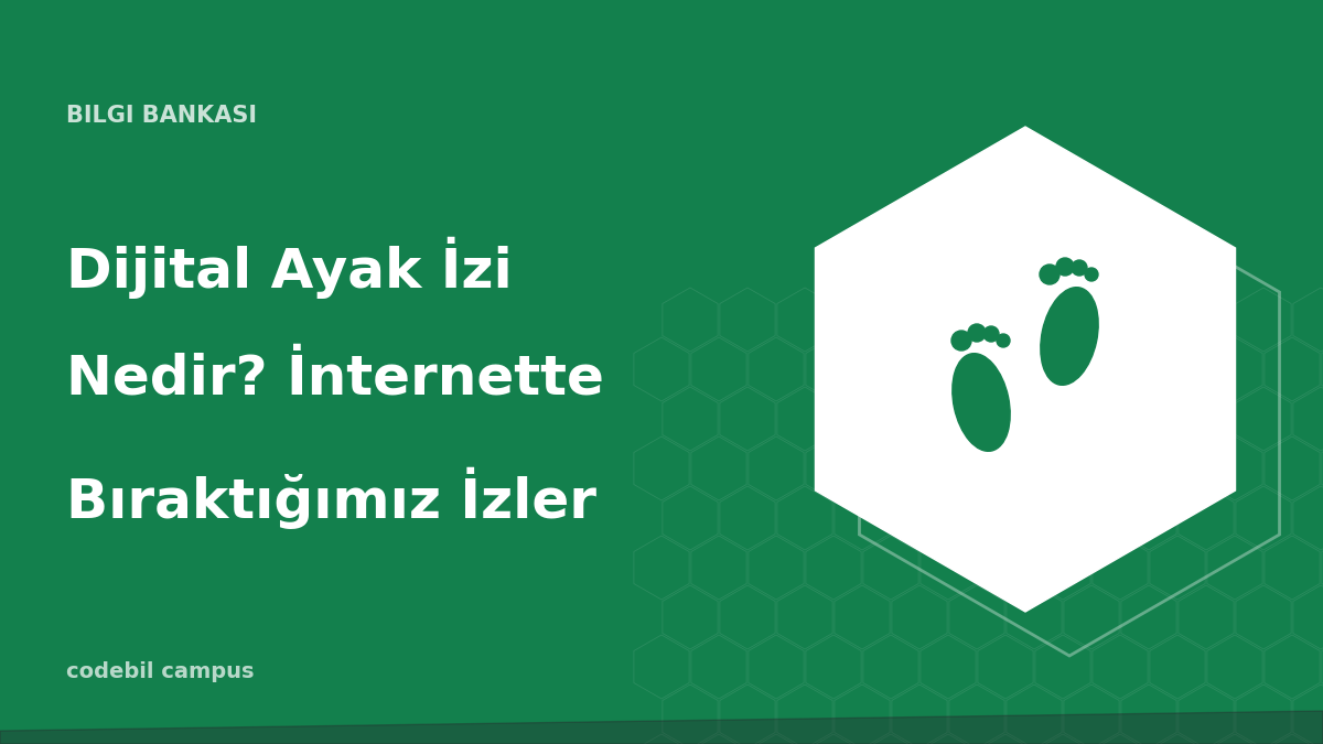 Dijital Ayak İzi Nedir? İnternette Bıraktığımız İzler