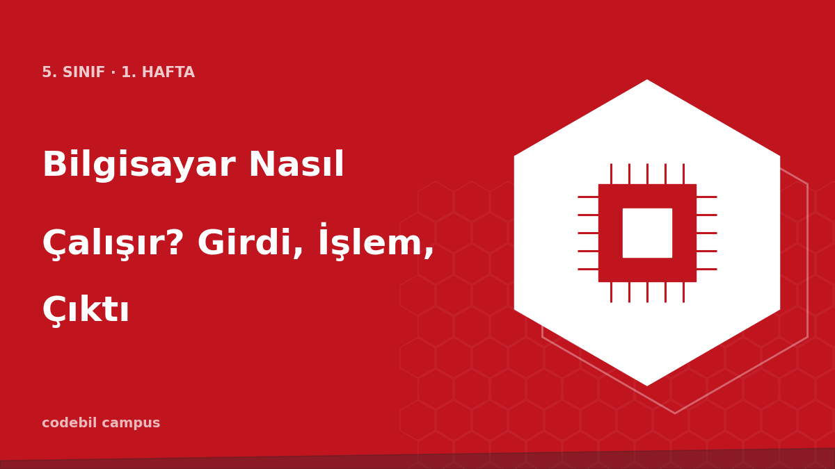 Bilgisayar Nasıl Çalışır? Girdi, İşlem, Çıktı