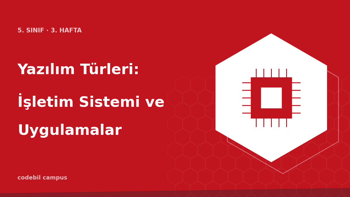 Yazılım Türleri: İşletim Sistemi ve Uygulamalar