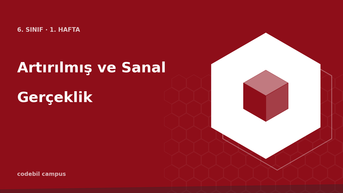 Artırılmış ve Sanal Gerçeklik