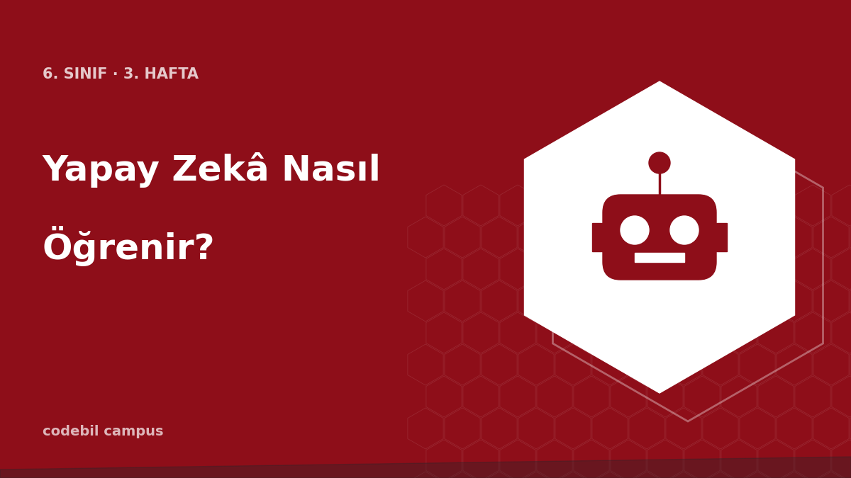 Yapay Zekâ Nasıl Öğrenir?
