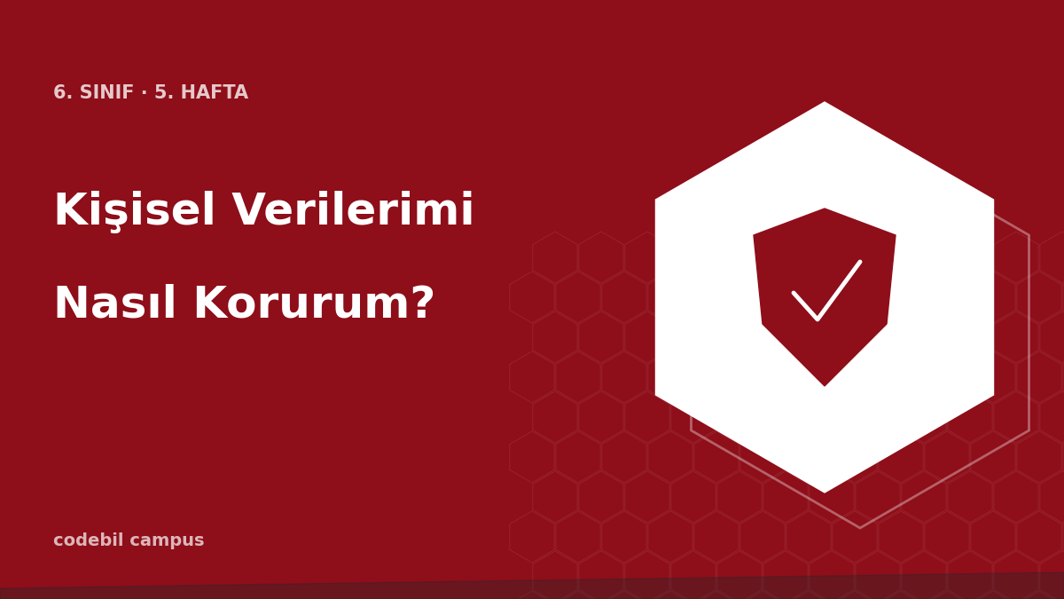 Kişisel Verilerimi Nasıl Korurum?
