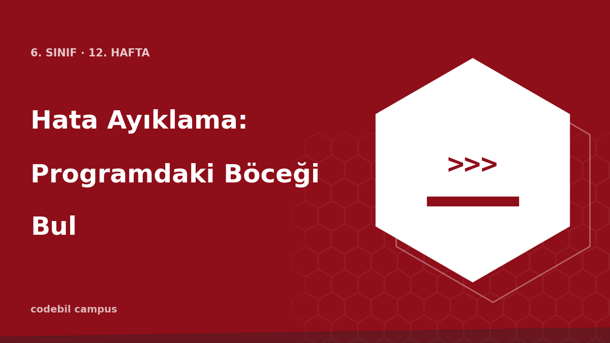 Hata Ayıklama: Programdaki Böceği Bul