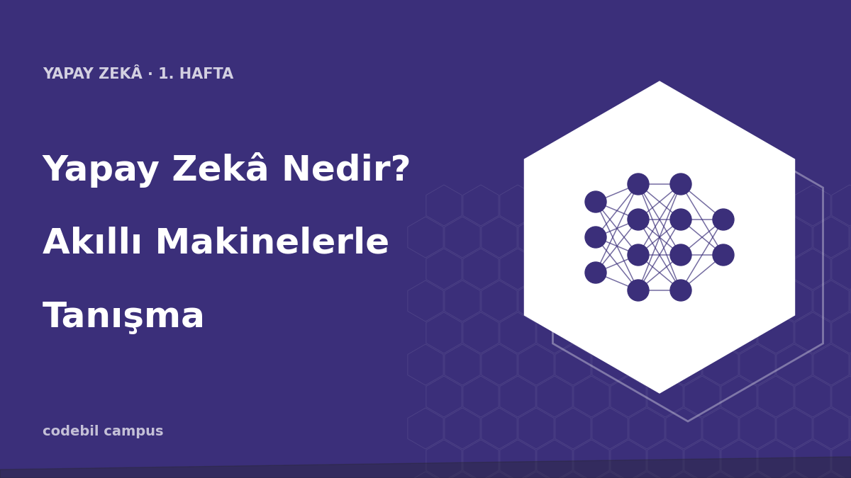 Yapay Zekâ Nedir? Akıllı Makinelerle Tanışma