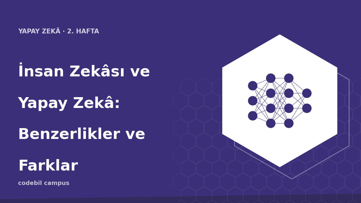 İnsan Zekâsı ve Yapay Zekâ: Benzerlikler ve Farklar
